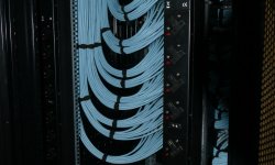 London Luton Airport - Security Search Area