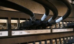 London Luton Airport - Security Search Area