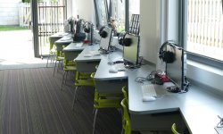 Putnoe Primary School