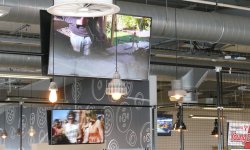 Motor Sport Vision 7 Motor Sport Vision 7